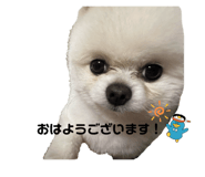 772997548