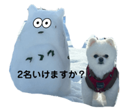 772997554