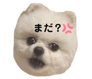 772997555