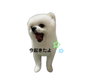 772997561