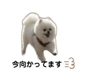 772997569