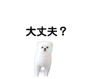772997572