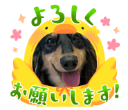 772997697