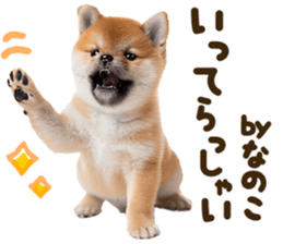 772999085