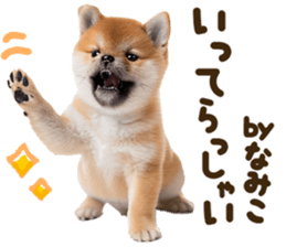 772999901