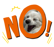 773001378