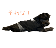 773001483