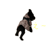 773001485