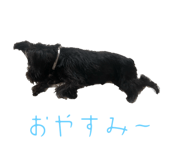 773001504