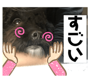 773001553