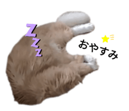 773001682