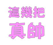 773008202