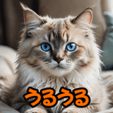 773008851