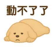 773009542