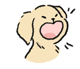 ลายที่ 3