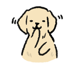 ลายที่ 5