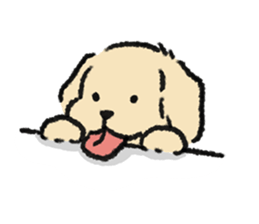 ลายที่ 9