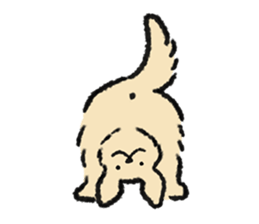 ลายที่ 11