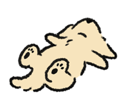 ลายที่ 13