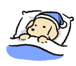 ลายที่ 15