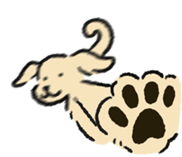 ลายที่ 19