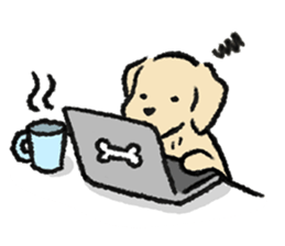 ลายที่ 21