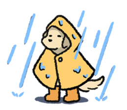 ลายที่ 25