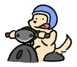 zoomie lego รูปที่ 14