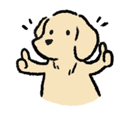 ลายที่ 29