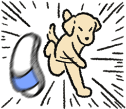 ลายที่ 41