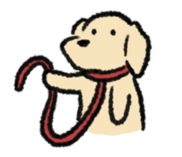 ลายที่ 43