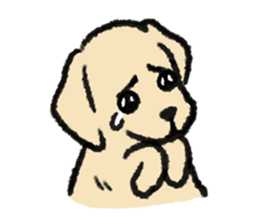 ลายที่ 45