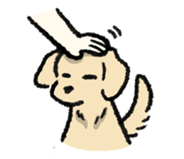 ลายที่ 51