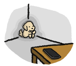 ลายที่ 57