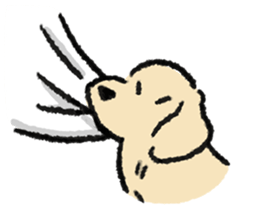 ลายที่ 61