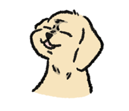 ลายที่ 63