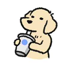 ลายที่ 67