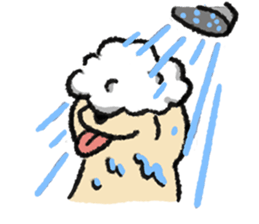 ลายที่ 79