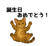 773022663