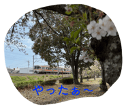 773023201