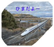 773023210