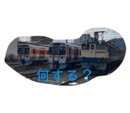 773023221