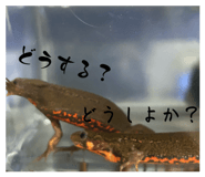 773023262