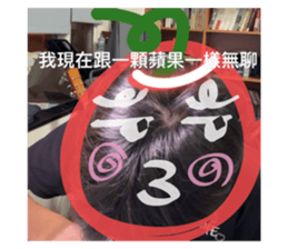 773027893