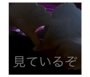 773030493