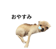773048609