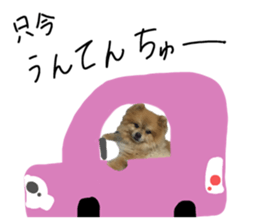 773056698