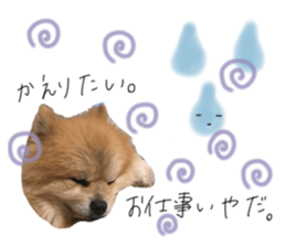 773056699