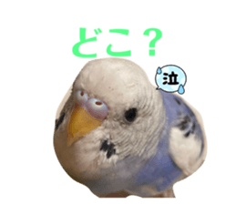 773086206