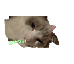 773086385